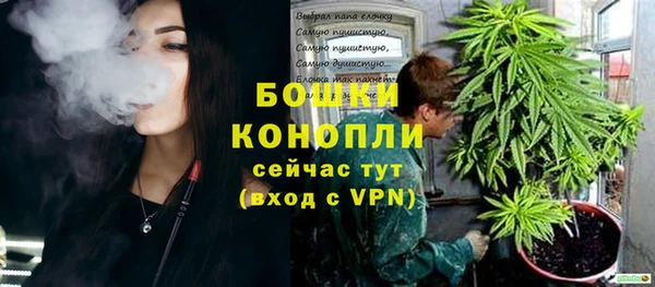 бутират Богданович